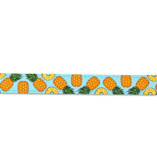 Max & Molly Smart ID Cat Tracking Collar - Sweet Pineapple